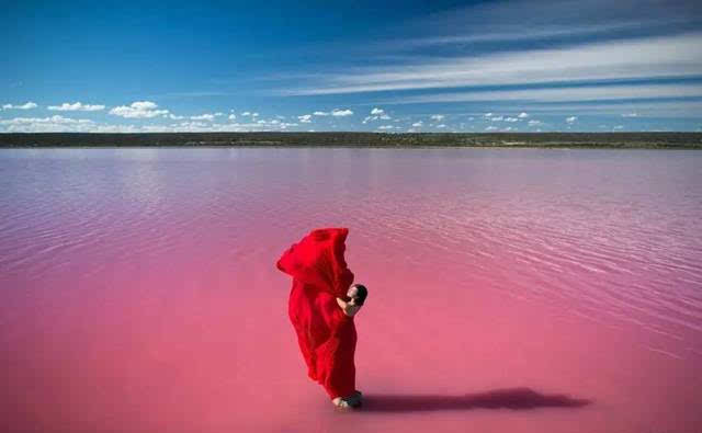 运势|猫巫先生十二星座周运2022年12.5-12.11:渴望改变,考虑远行