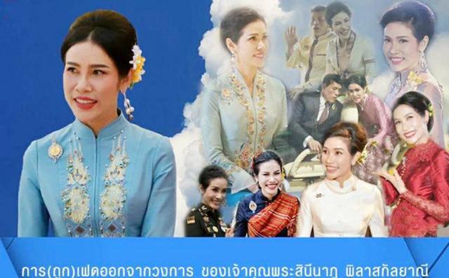 诗妮娜|从“凌云峰”归来的诗妮娜再次被打入冷宫，果然印证了伴君如伴虎