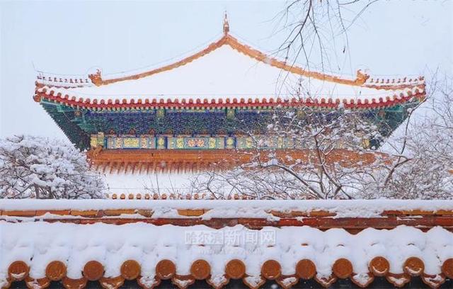 雪容融|下雪了，满街都是“雪容融”｜冰城人已经在冰场、雪地撒欢儿了