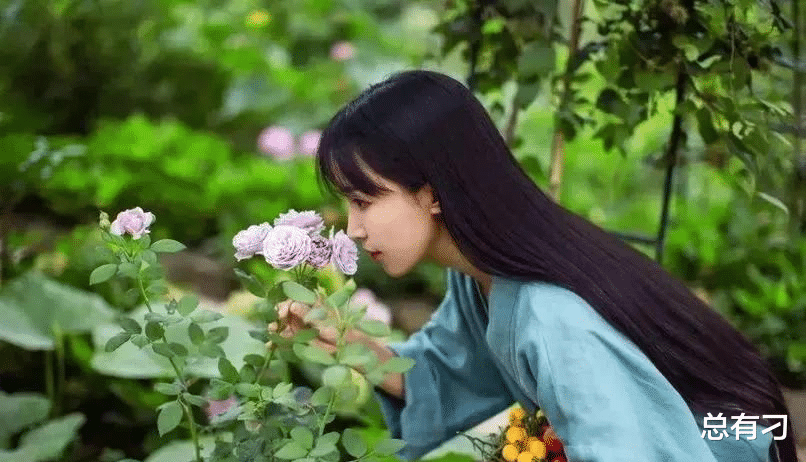 李子柒|李子柒已消失一年,现状远比你想象得更惨