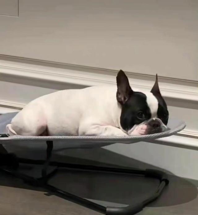 鹿晗|网曝鹿晗买儿童座椅?与关晓彤有好事要发生?本本已出面回应