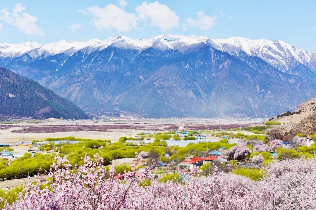 林芝|限时一个月的冰川桃源，去「藏地江南」赴一场春日宴