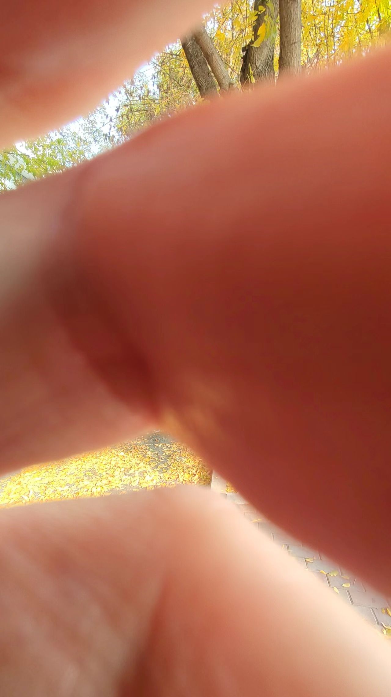 什么是成熟?经历波折后的执着,经历坎坷后的淡定和经历沧桑后的平和