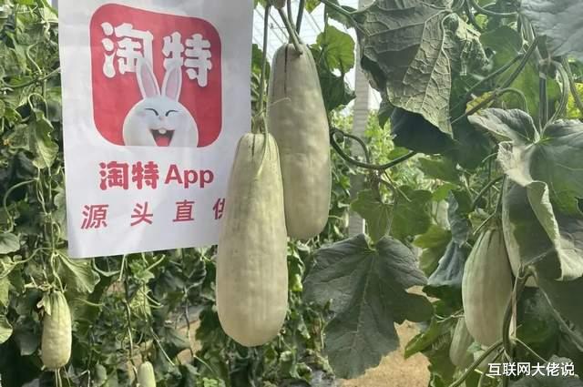 网络安全|淘特交高分答卷，两年年活跃买家超3亿