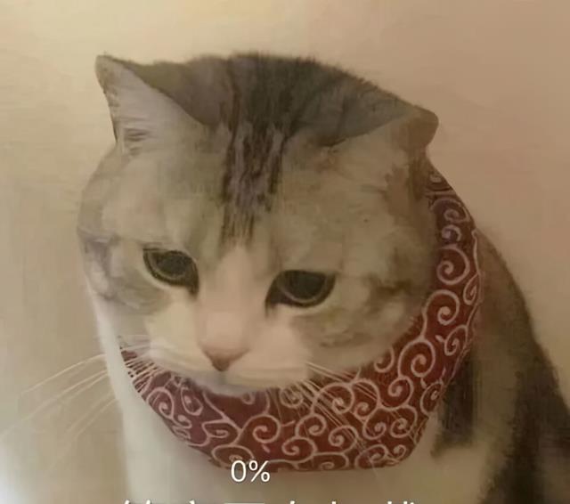 |要不要听我的经历:32岁已婚未育,裸辞找工作,比登天还难