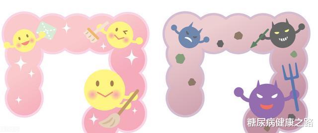 |肝脏脂肪与腹部脂肪，哪个才是糖尿病关键因素？不要搞错了