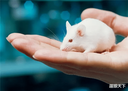 这个实验引发轰动:科学家把癌细胞注射进健康人体内,结果有点意外