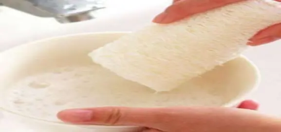 气溶胶|经常有人用丝瓜络来刷碗,其实它还有别的用处,你们知道吗?