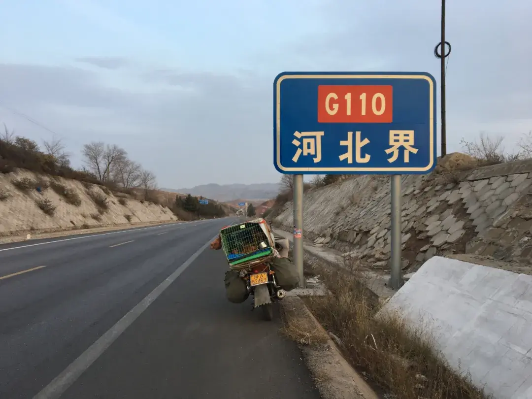 湘西|荒郊野外露营，竟然发现这个，差点当瓢用了，惊魂的一夜