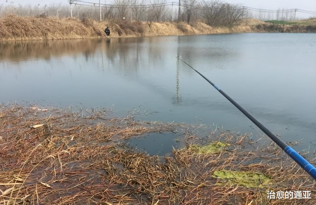 蜂蜜|台钓和传统钓,存在的4个误区,哪个更适合野钓