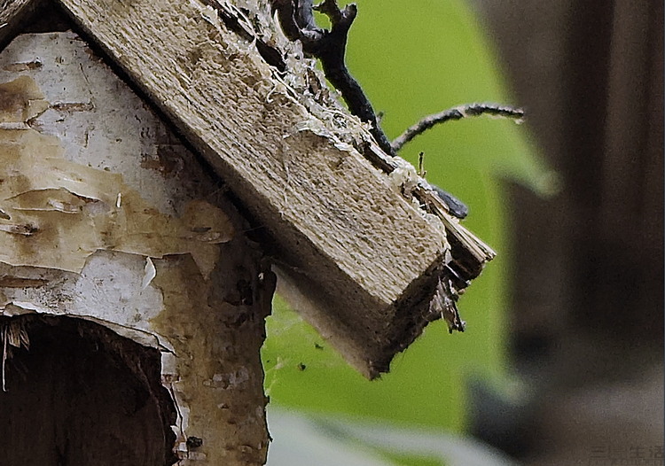 |moto razr 2022评测:“小而美”的翻盖折叠旗舰