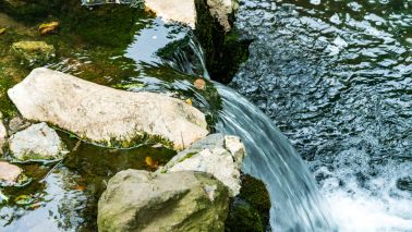 品味柒号庭院生活美学