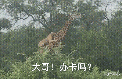 “为什么发传单的，不敢把传单偷偷丢垃圾桶，而是老实发完呢？”
