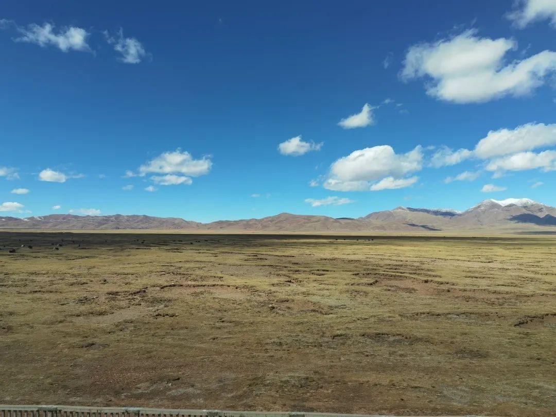 火车|坐上绿皮火车，穿越大半个中国，拥抱世间最美的情郎