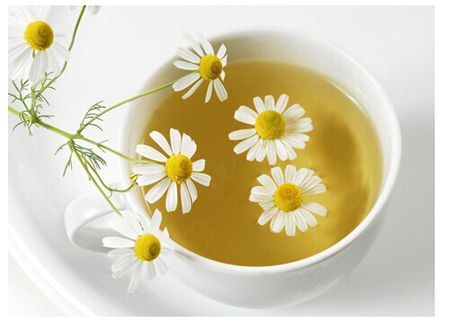 疫苗|白菊花泡水喝的功效都有哪些