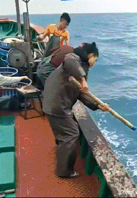 发型 事实证明，多帅的发型都弥补不了颜值的差距！太扎心....