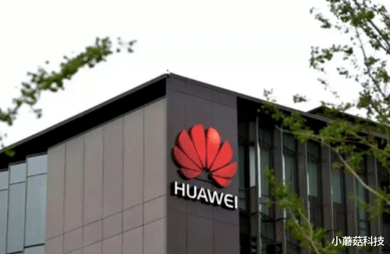 华为|堵不住了!两年超356亿,美国拆除华为的代价来了?英国认清现实