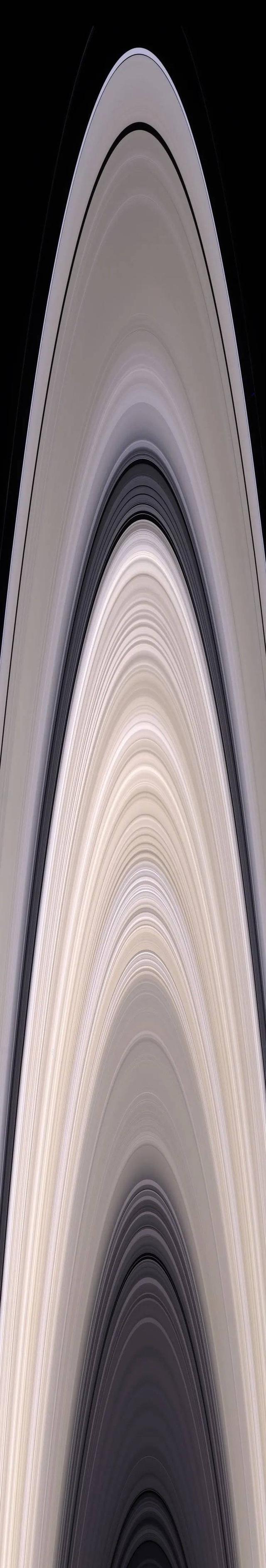 为什么我们越来越迷恋成为蝼蚁?
