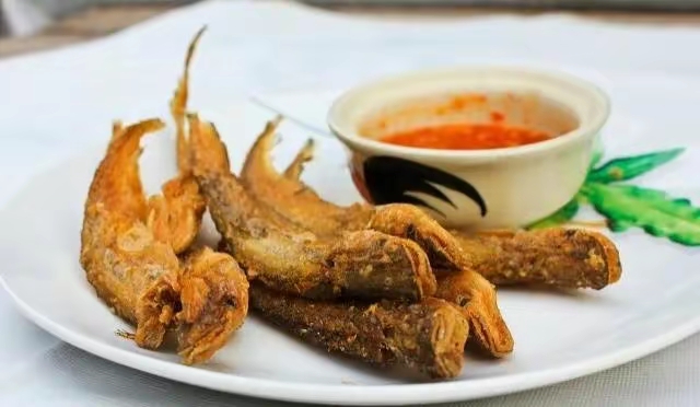 |这些价值不菲的小杂鱼你吃过吗？