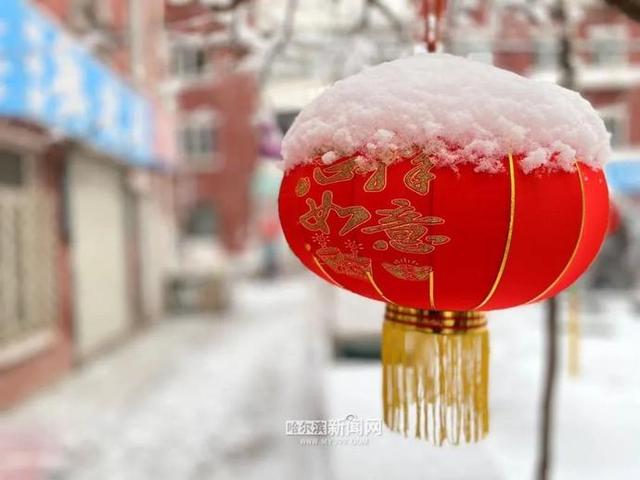 雪容融|下雪了，满街都是“雪容融”｜冰城人已经在冰场、雪地撒欢儿了