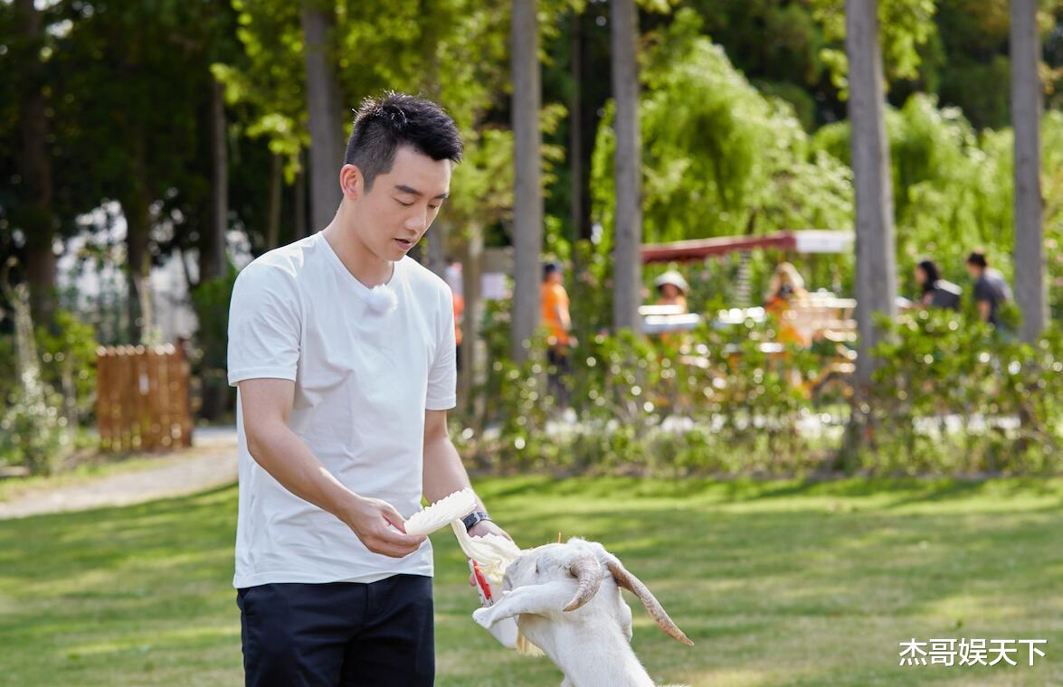 郑恺|郑恺，你这次总算是堵上了那些黑粉的嘴