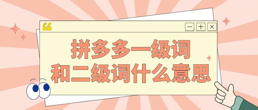 拼多多|弘辽科技：拼多多一级词和二级词什么意思？如何做二级类目？
