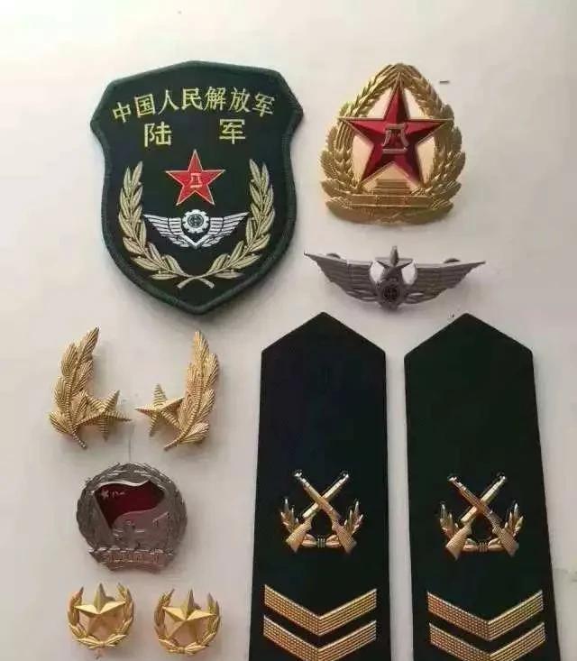 我是特种兵之利刃出鞘|我是特种兵:王艳兵、李二牛军政素质过硬,有没有可能提干?