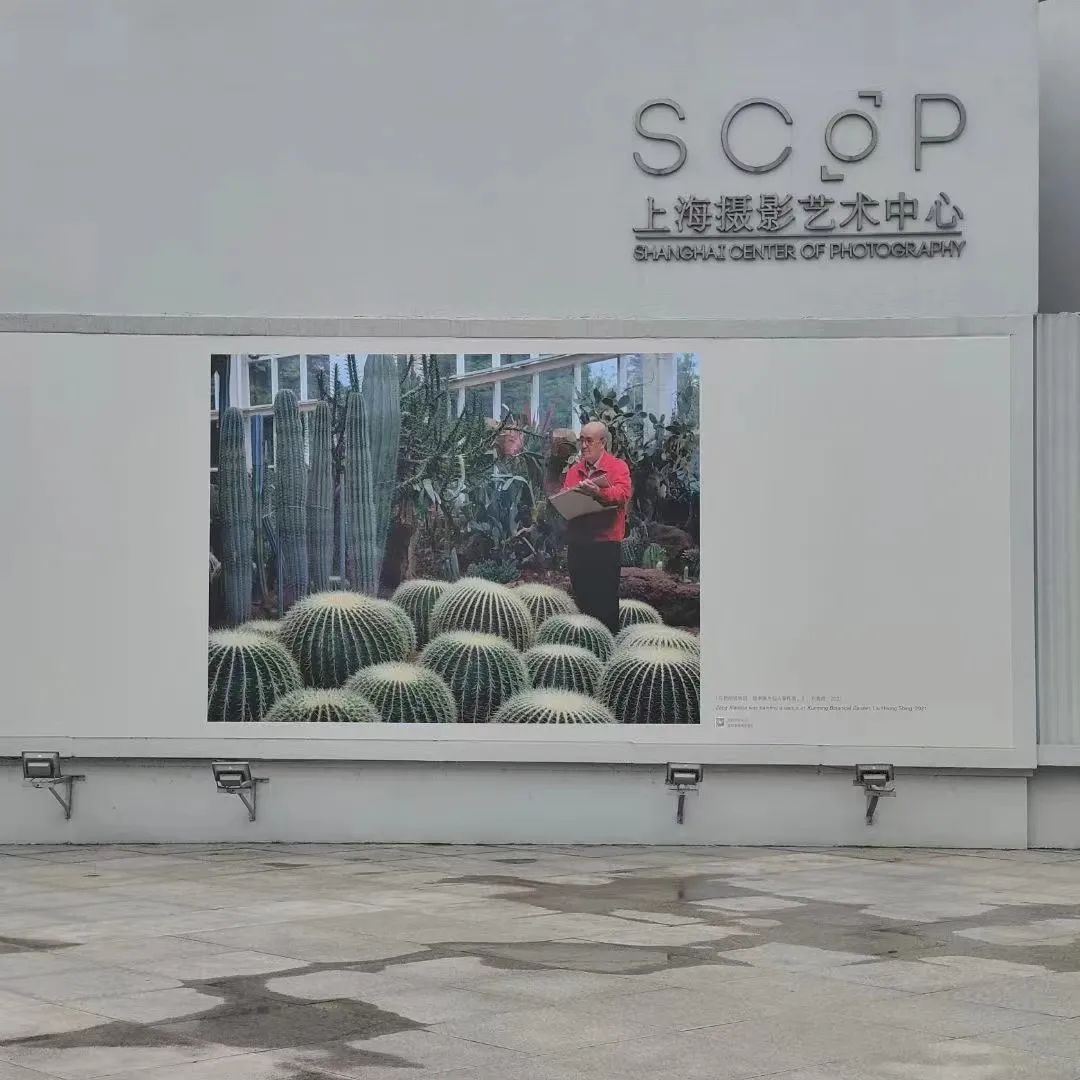 旅行|可见,从8年到无限可能∞