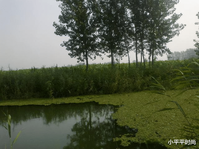 大爷|70岁独居老汉,天天钓鱼,雷打不动,每日花费不到3块钱