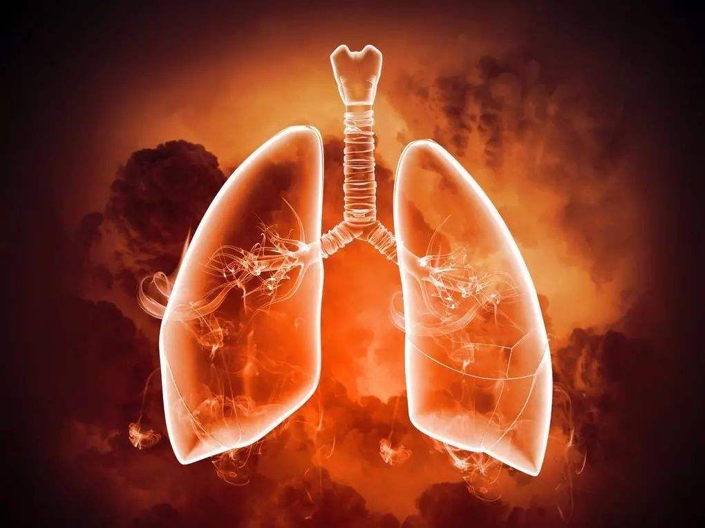 补肾|百病皆由痰生，送你一味中药，上清肺火，下补肾阴，“挖”走老痰