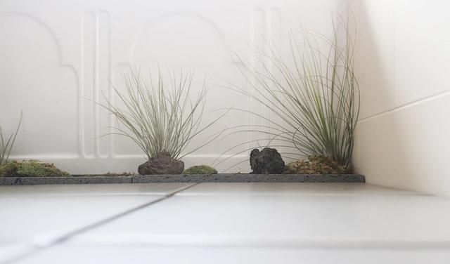 这位韩国女青年,堪称“设计模本”,全屋白墙极干净,圈粉无数!