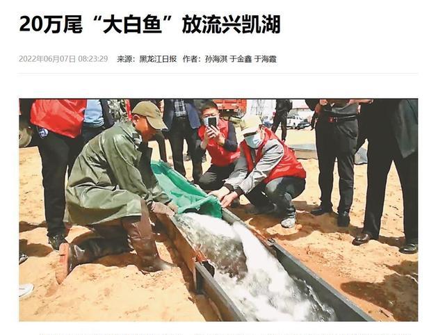 兴凯湖：我国北部放流20万尾鱼，是在为俄罗斯“做嫁衣”吗？