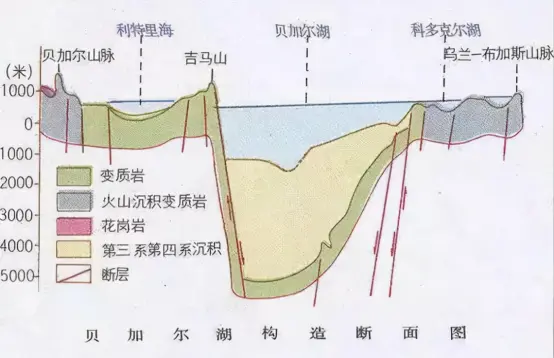 亚欧大陆最大的淡水湖贝加尔湖竟然有海洋生物,这些海洋生物是怎么生存的?