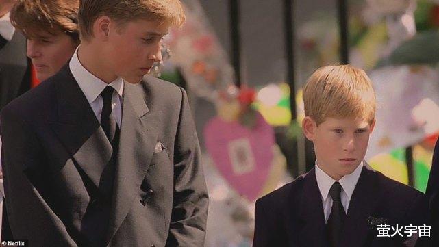 威廉|哈里称赞梅根和戴安娜王妃“太像了”，惹众怒，想过威廉的感受吗