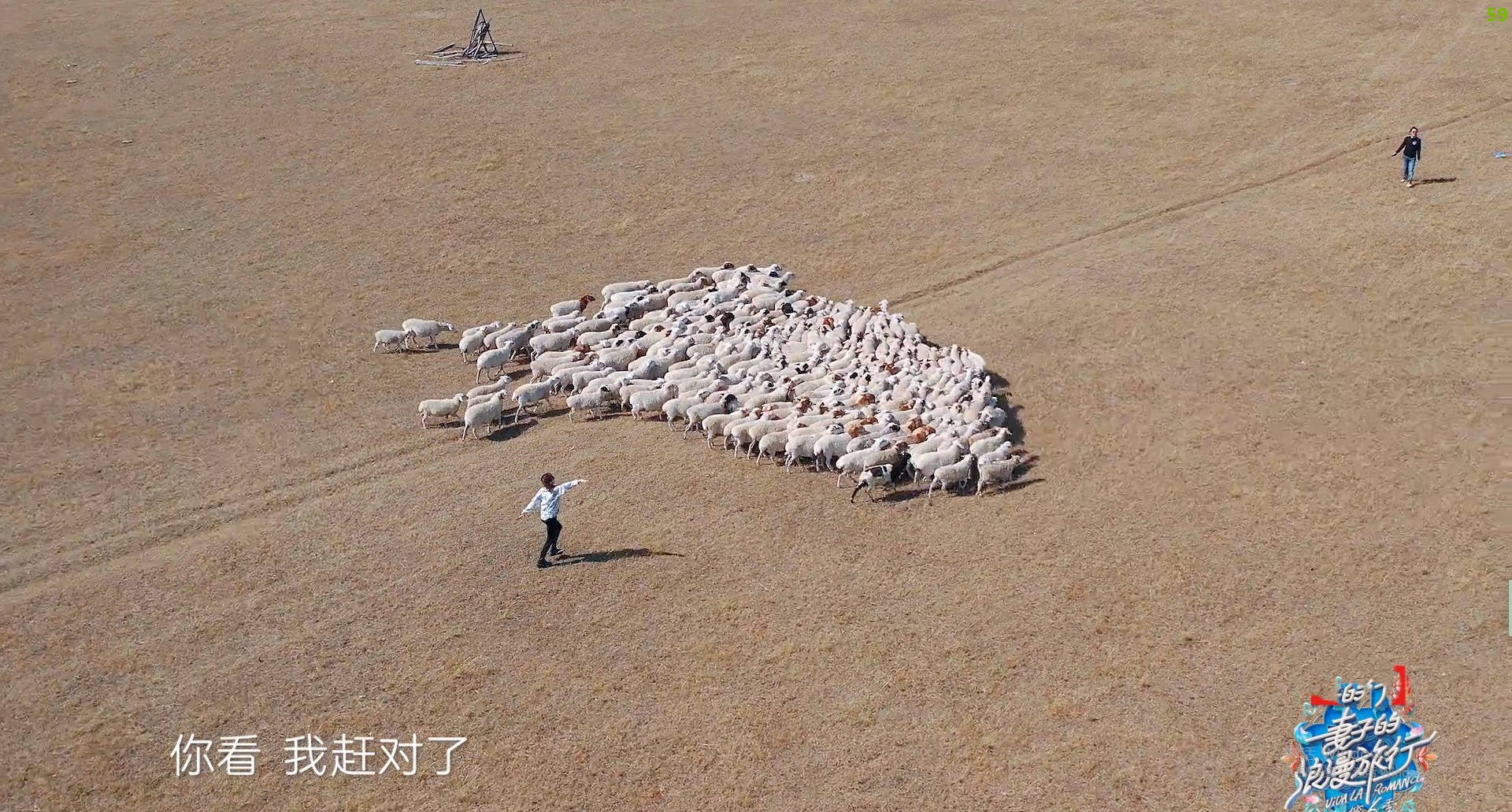 张小斐|《妻子6》丈夫带队环节划水,才艺展示冷场尴尬,网友呼唤谢娜