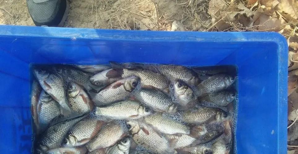 |冬天钓鱼有规律，有三种钓位无需下竿，多半会空军