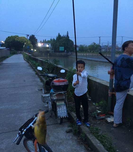 饵料|长江大物再现，长了十几年的黄颡鱼被钓起