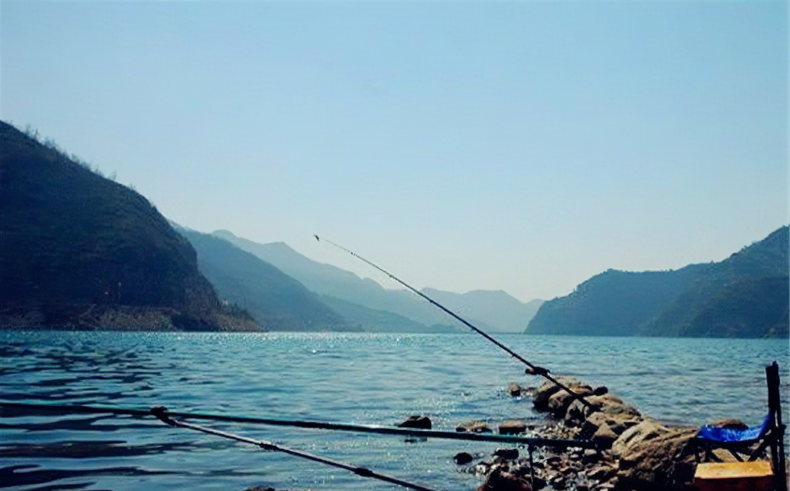 水库|渔乐杂谈：大型水库夏钓心得谈