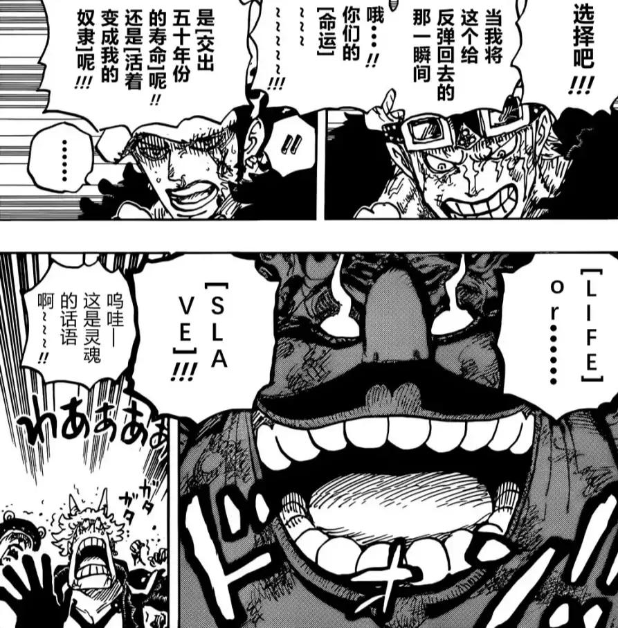 海贼王|海贼王1040话：罗被明哥砍断手臂，为何他能够四皇大妈？
