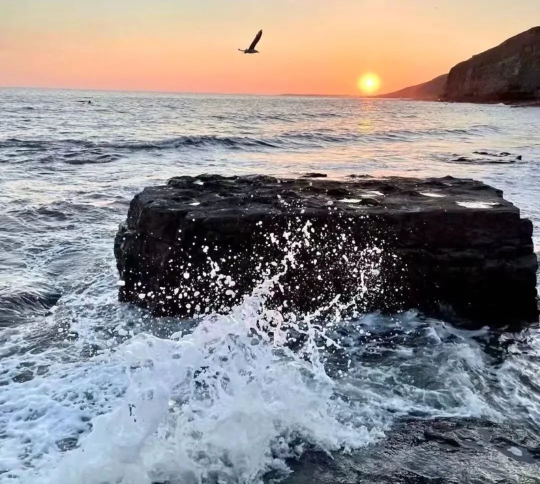 江西|适合去海边发的文案