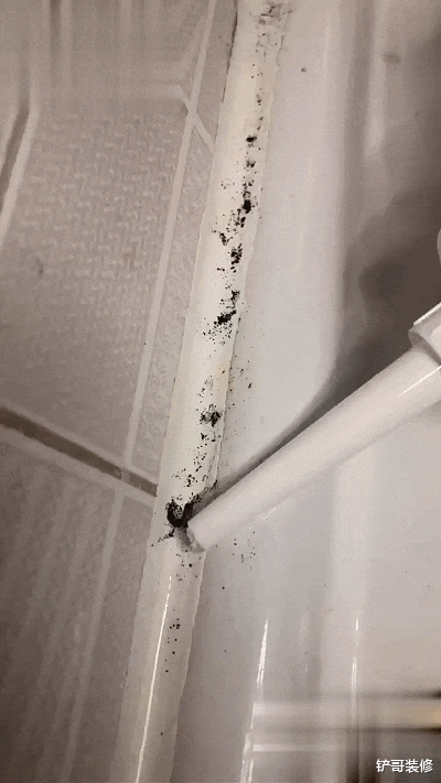 建议各位：拖把别放在这3个“位置”，其中有大讲究，别不当回事