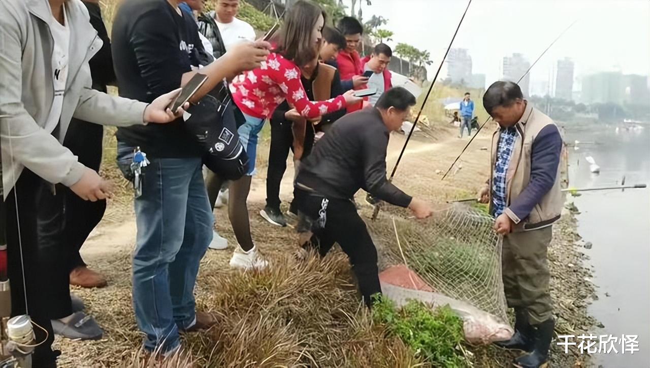 长江|湖北长江边:男子钓起两条大青鱼,结果引来渔政,网友:抓得好
