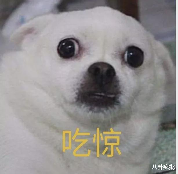 于谦|于谦持股公司赔533万！