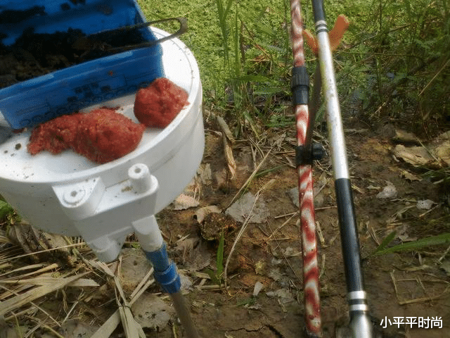 大爷|70岁独居老汉,天天钓鱼,雷打不动,每日花费不到3块钱