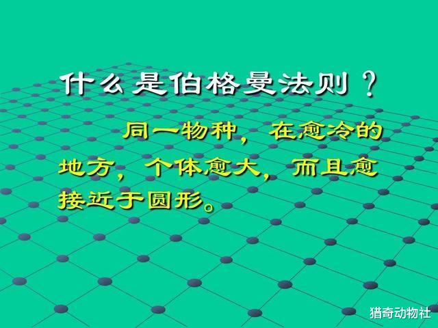 远古时期的生物比如今生物体型都大吗？这是什么原因导致的？