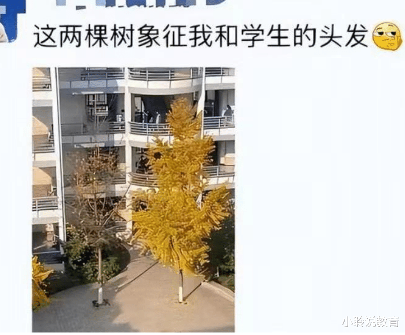 教师|班主任发朋友圈忘记屏蔽学生,场面失控但好笑,网友调侃人间真实