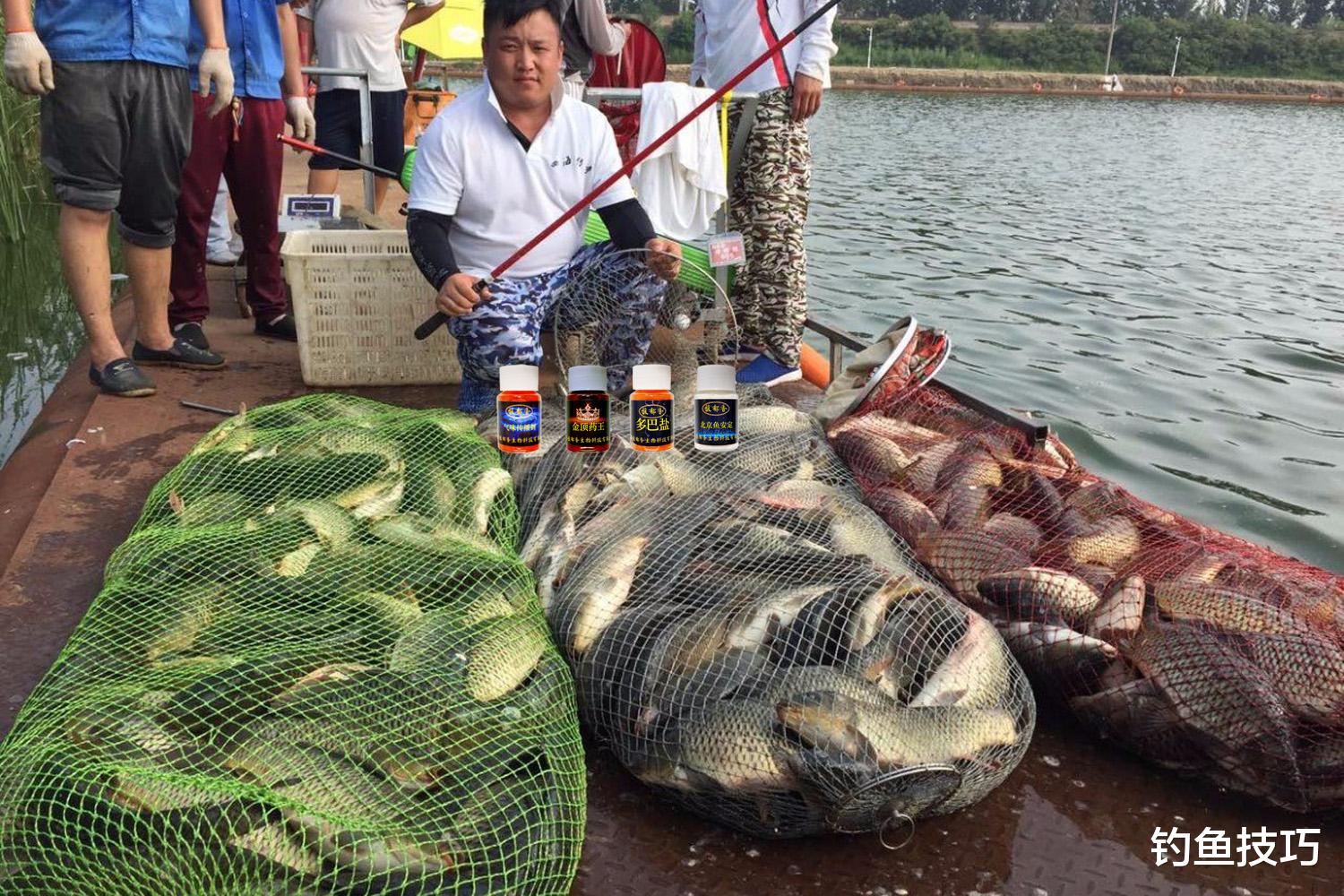 |钓鱼想爆护，掌握鱼饵和小药的关系是大前提，钓鱼用饵的几个要点