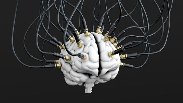 科学决定论：人类是物理属性，不存在“自由意识”