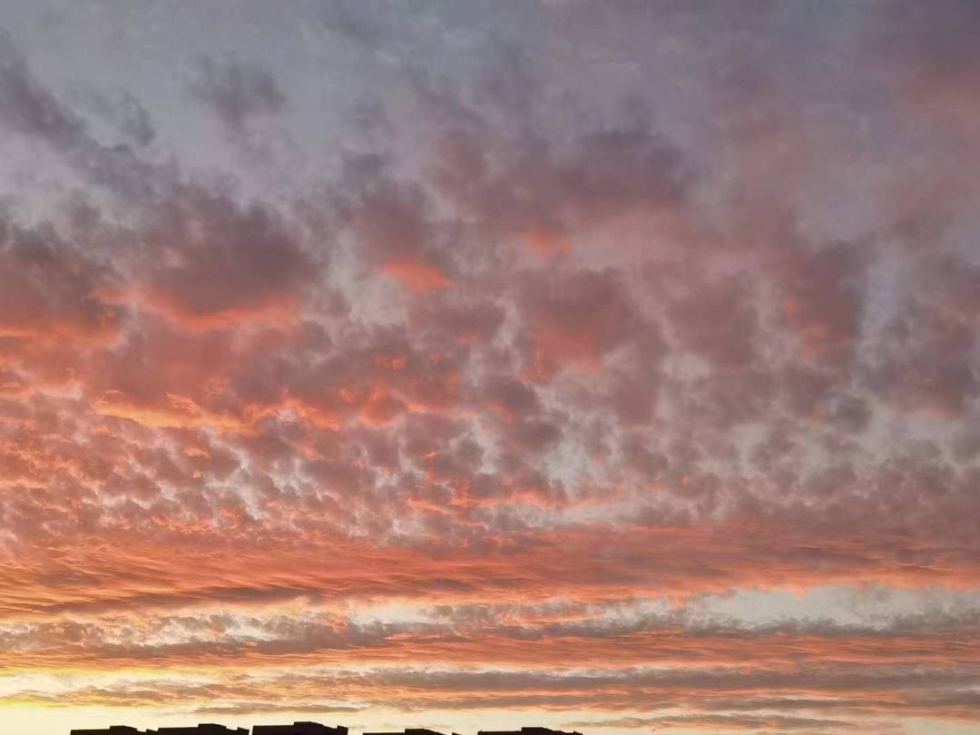 |当职场团队出了点麻烦就放弃，结果会输的更多