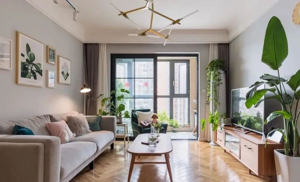 晒晒我家阳台花园,喝茶赏花享受生活,同事来了都舍不得走